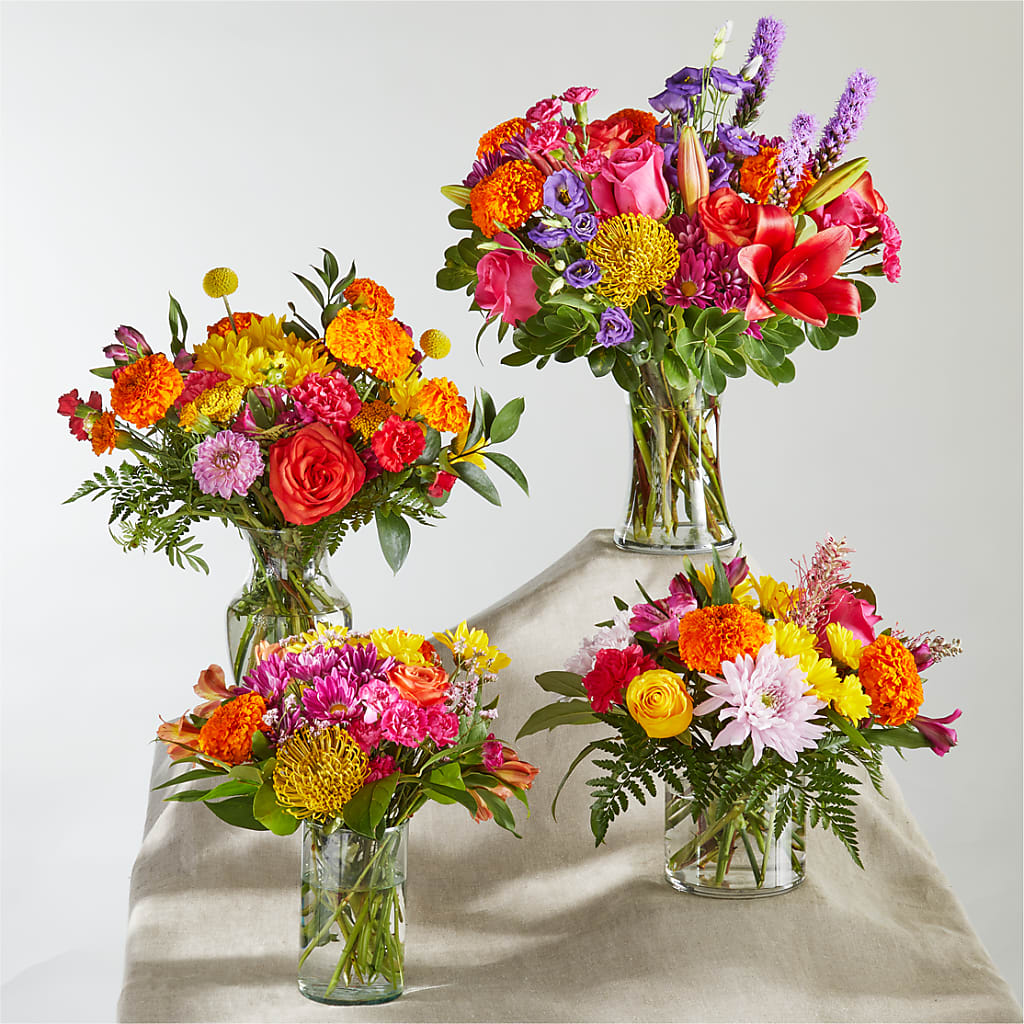 Feast of Color – A Florist Original –  Daily Bloom, San Antonio TX