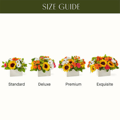 Sun-drenched Blooms Box Bouquet –  Daily Bloom, San Antonio TX