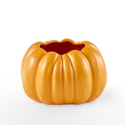 Pick of the Patch Pumpkin Bouquet –  Daily Bloom, San Antonio TX