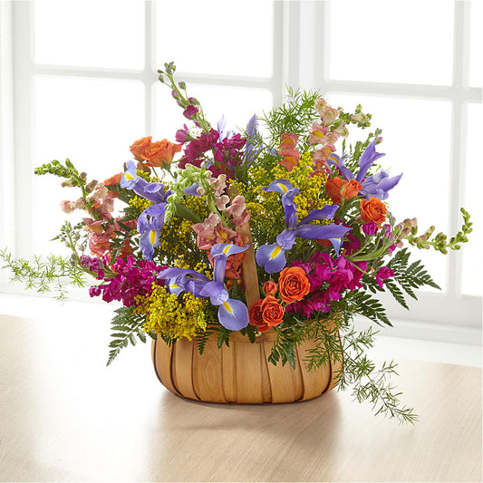 Garden of Life Basket –  Daily Bloom, San Antonio TX