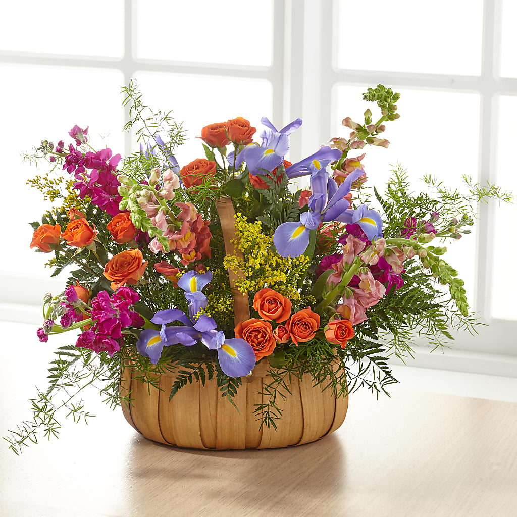 Garden of Life Basket –  Daily Bloom, San Antonio TX