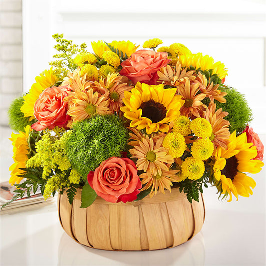 Harvest Sunflower Basket –  Daily Bloom, San Antonio TX