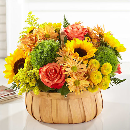 Harvest Sunflower Basket –  Daily Bloom, San Antonio TX