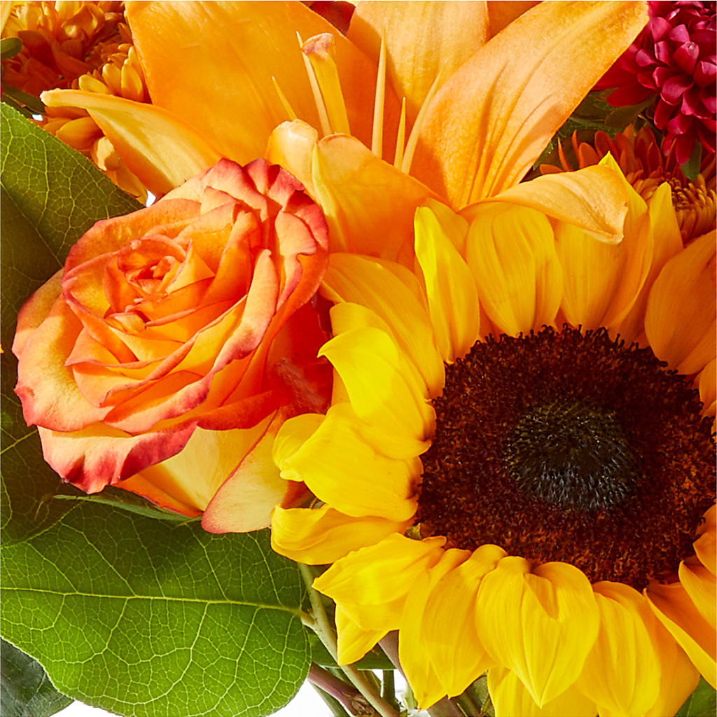 Fall Day Bouquet –  Daily Bloom, San Antonio TX