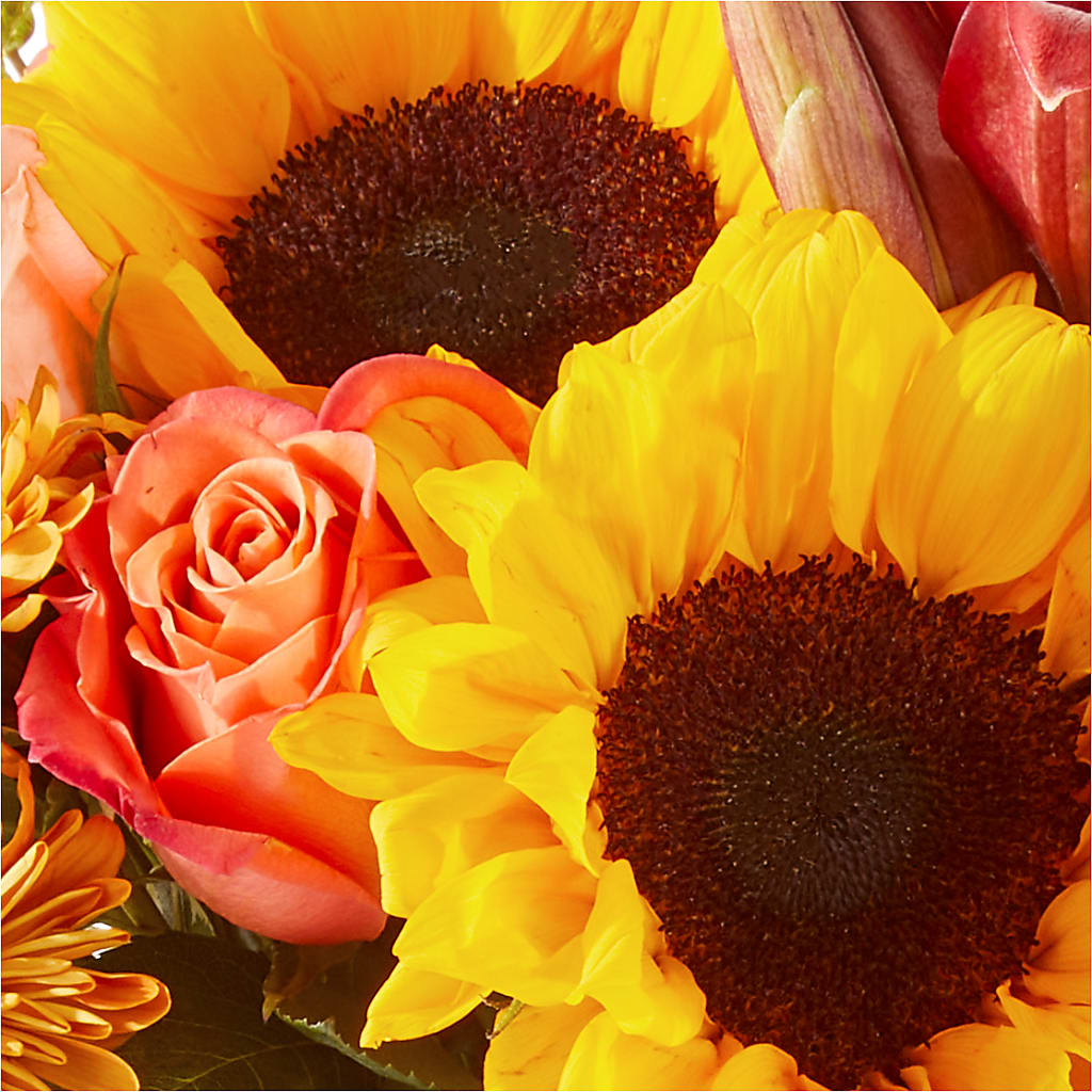 Acorn Lane Bouquet –  Daily Bloom, San Antonio TX