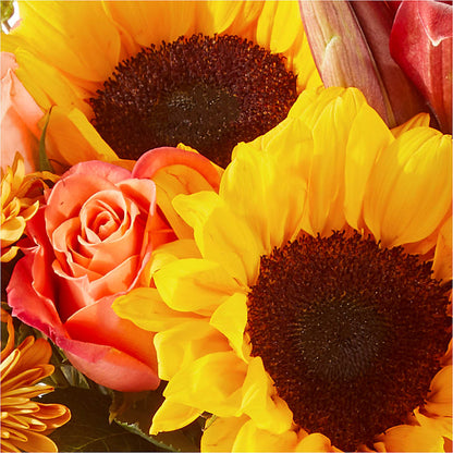 Acorn Lane Bouquet –  Daily Bloom, San Antonio TX