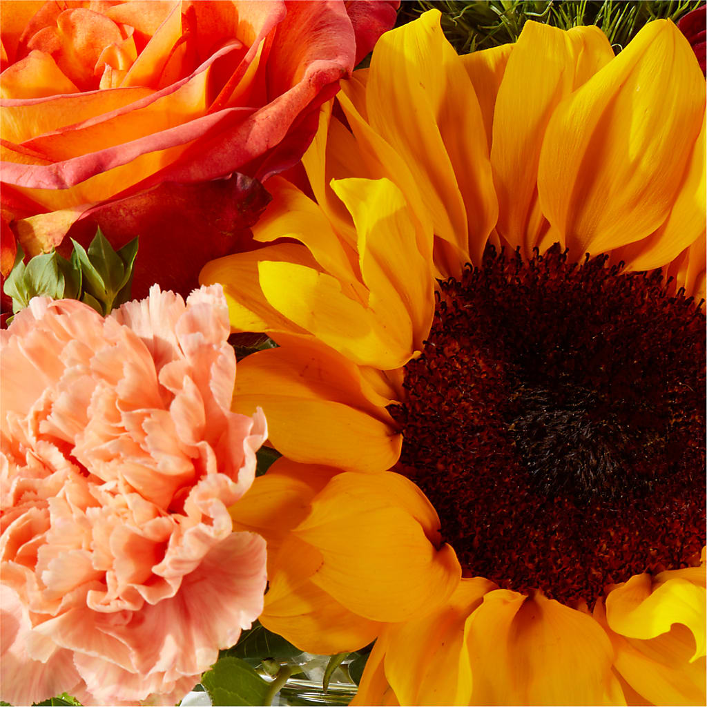 Harvest Festival Bouquet –  Daily Bloom, San Antonio TX
