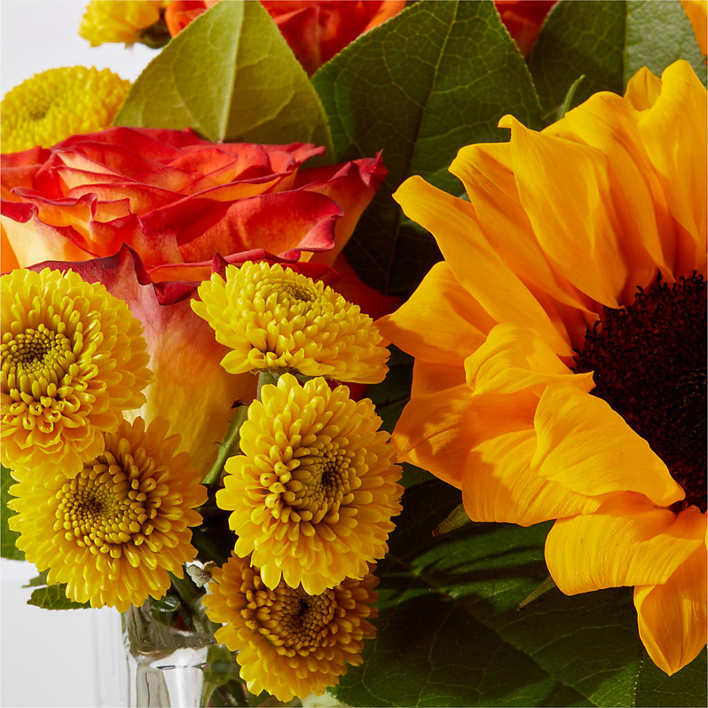 Picnic in the Park Bouquet –  Daily Bloom, San Antonio TX