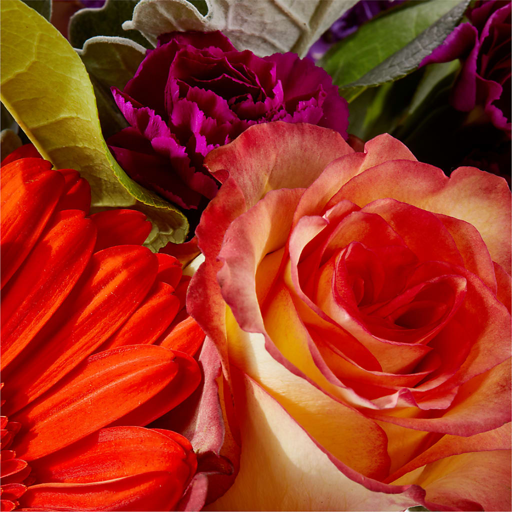 Sangria Bouquet –  Daily Bloom, San Antonio TX