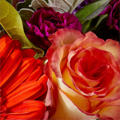 Sangria Bouquet –  Daily Bloom, San Antonio TX