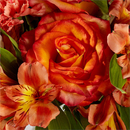 Apricot Glow Bouquet –  Daily Bloom, San Antonio TX