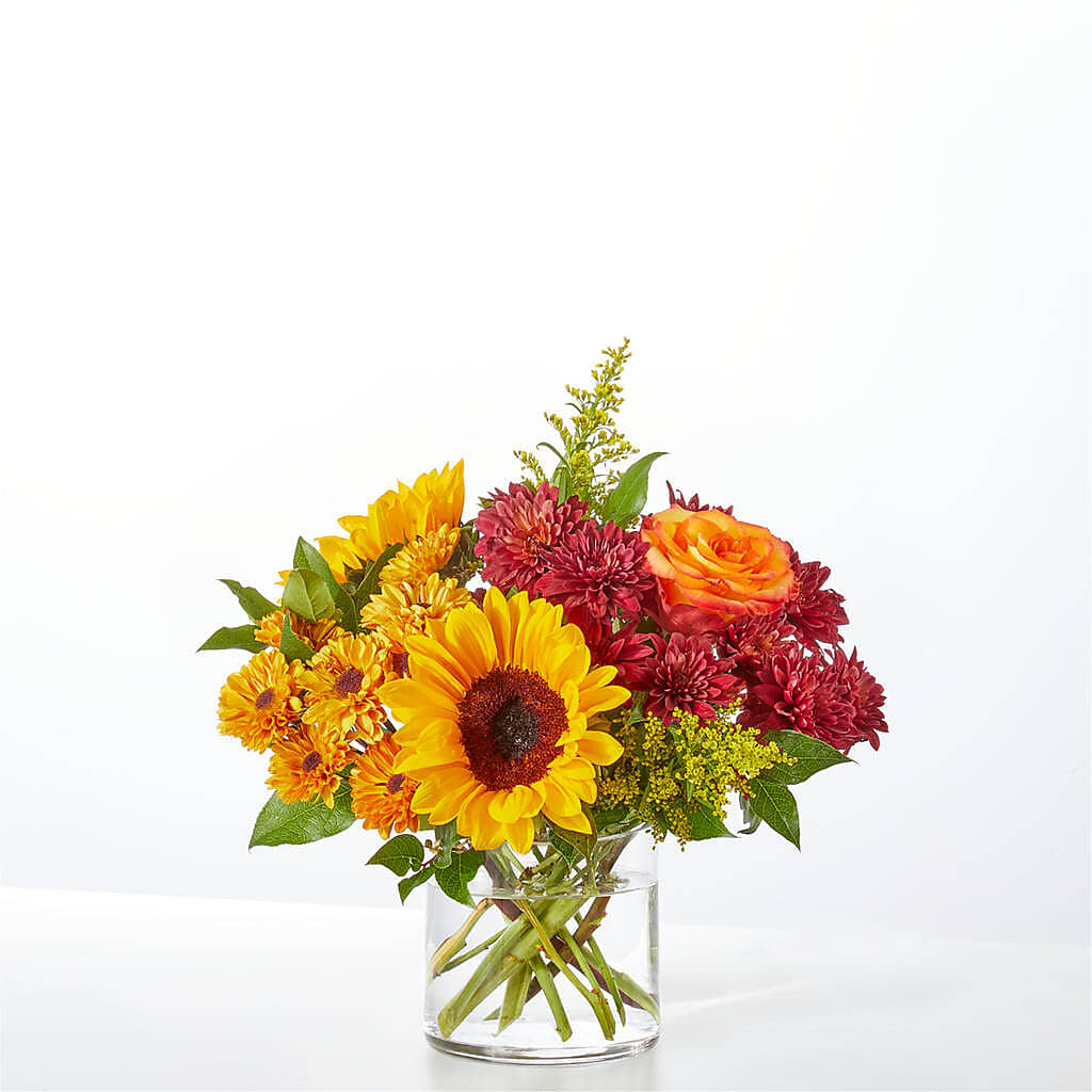 Flannel Scarf Bouquet –  Daily Bloom, San Antonio TX