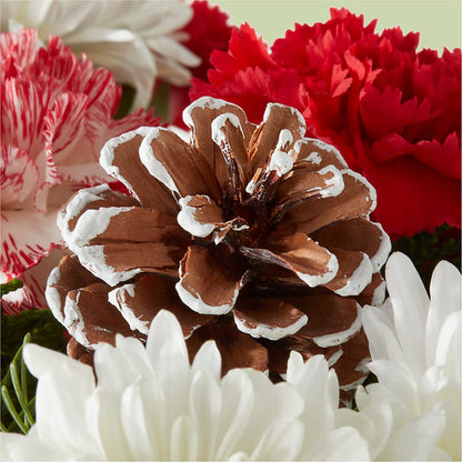 Candy Cane Lane Bouquet –  Daily Bloom, San Antonio TX