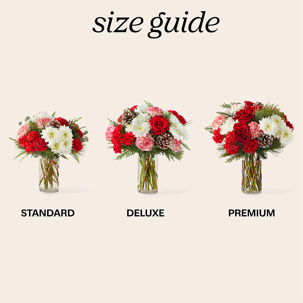 Candy Cane Lane Bouquet –  Daily Bloom, San Antonio TX