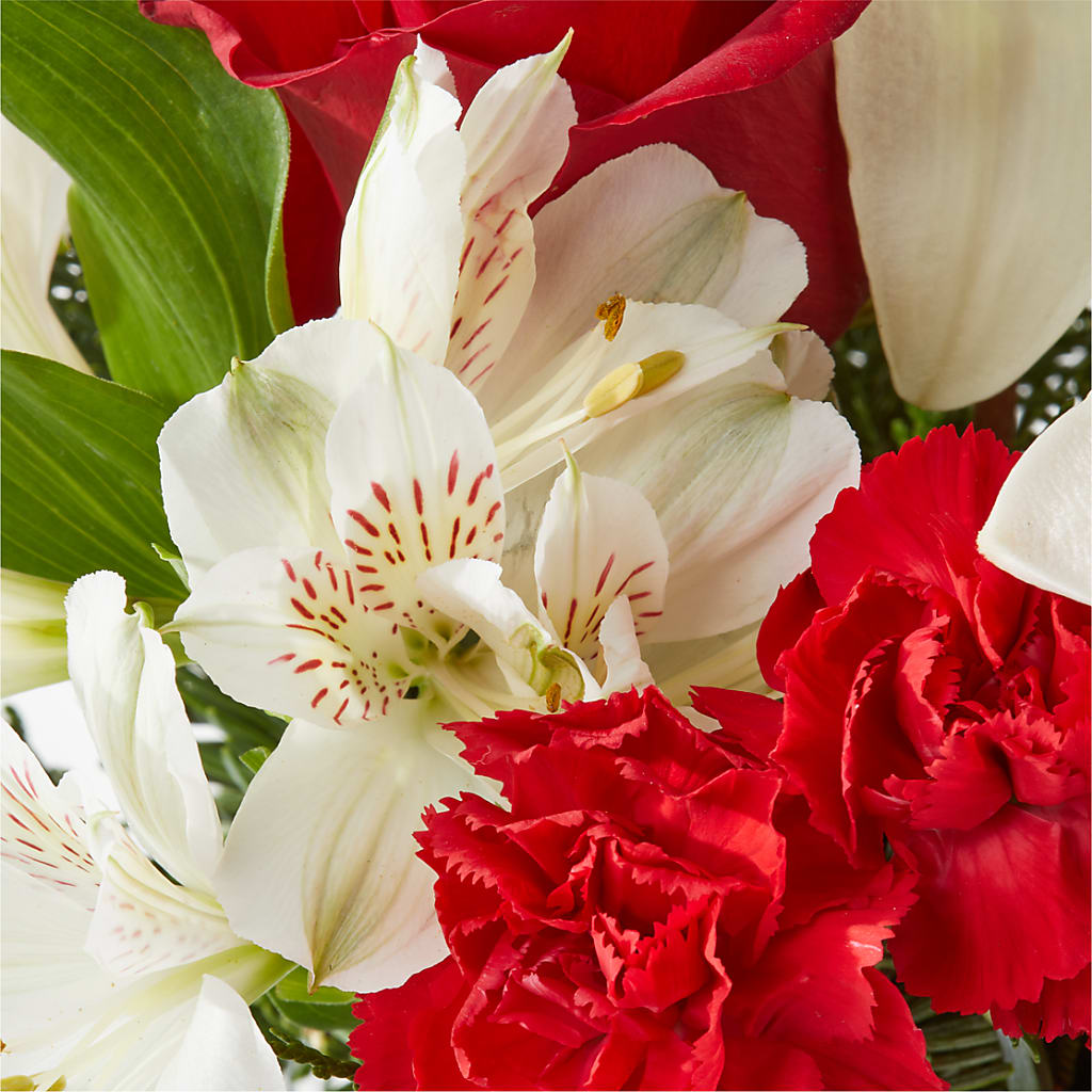 Holiday Season Bouquet –  Daily Bloom, San Antonio TX