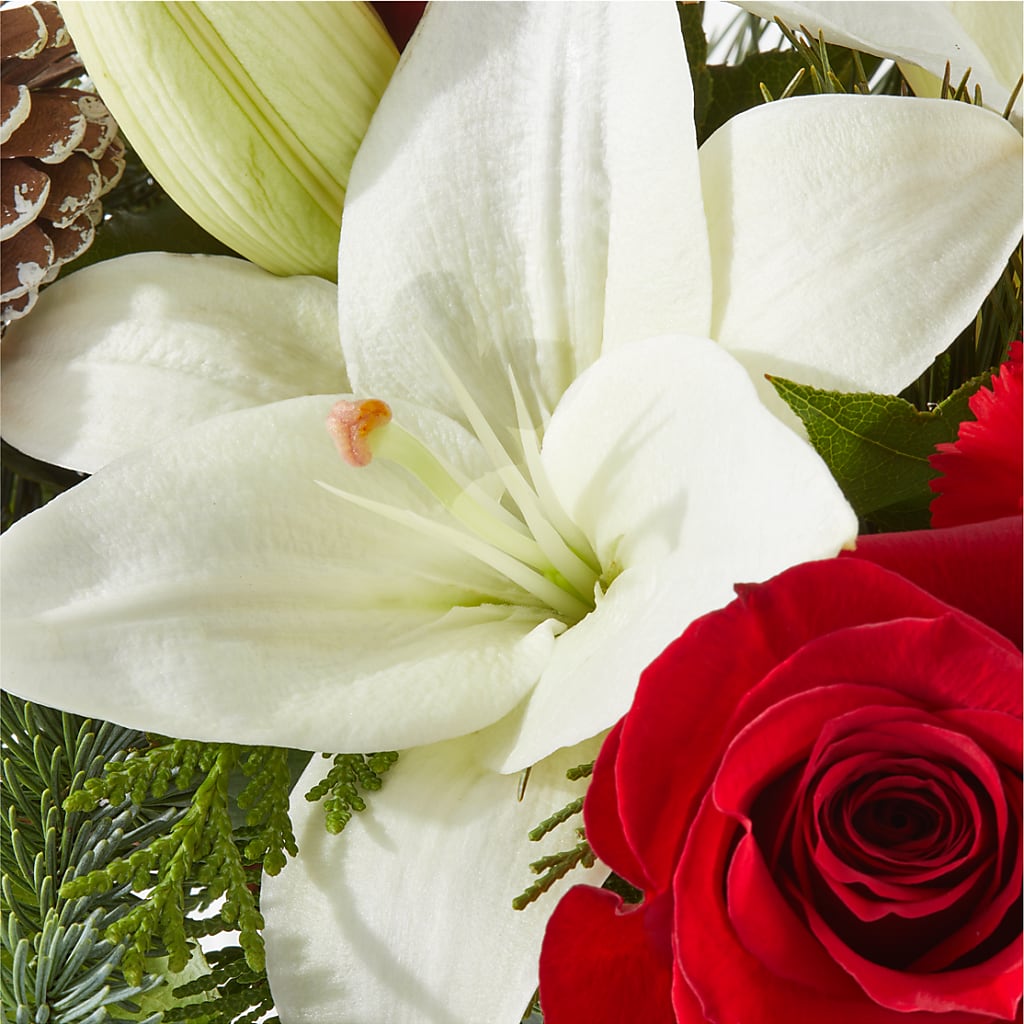 Oh So Jolly Bouquet –  Daily Bloom, San Antonio TX