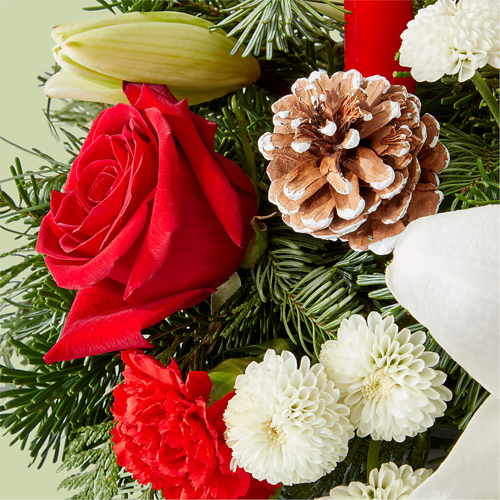Seasonal Festivities Centerpiece –  Daily Bloom, San Antonio TX