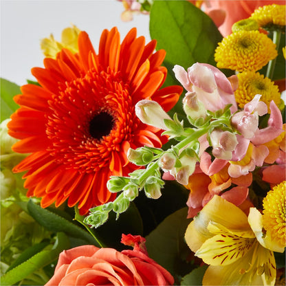 Autumn Sunshine Bouquet –  Daily Bloom, San Antonio TX