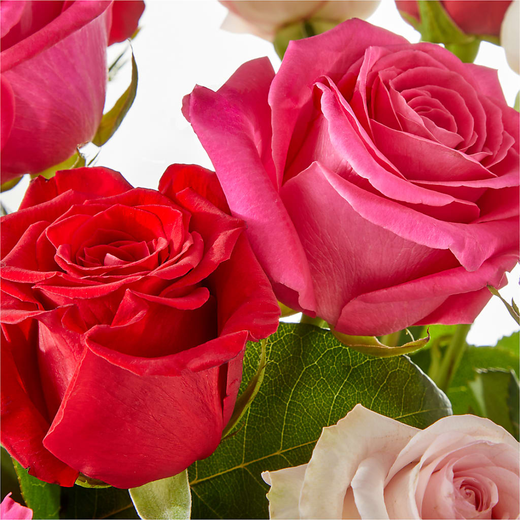 Charming Rose Bouquet –  Daily Bloom, San Antonio TX