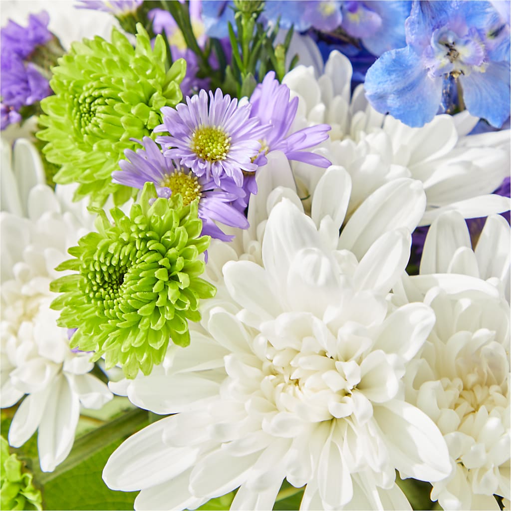 Genuine Gestures Bouquet –  Daily Bloom, San Antonio TX