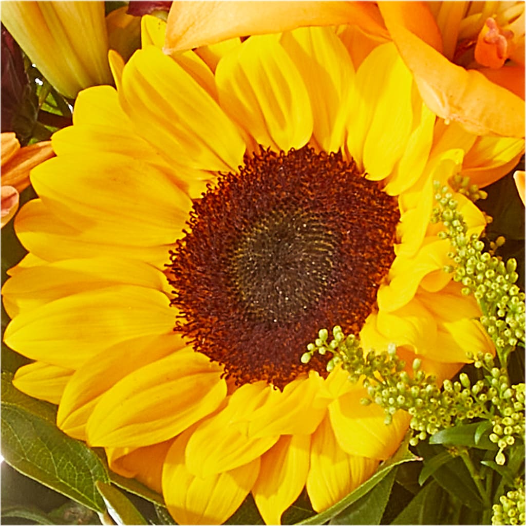 Seasons Change Bouquet –  Daily Bloom, San Antonio TX