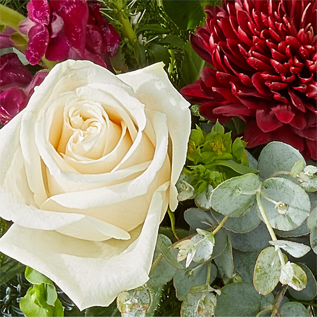 Cranberry Fizz Bouquet –  Daily Bloom, San Antonio TX