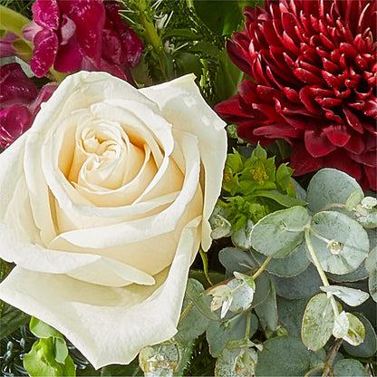 Cranberry Fizz Bouquet –  Daily Bloom, San Antonio TX