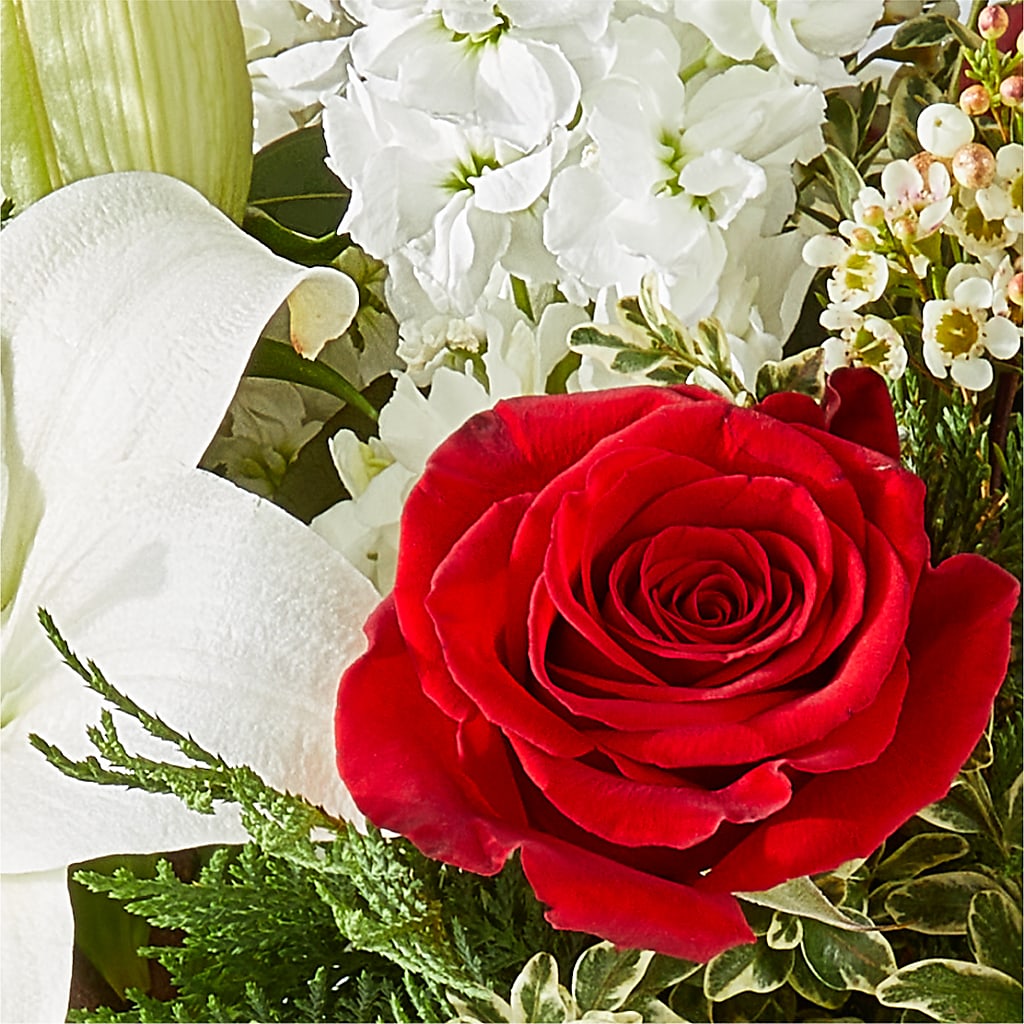 Twinkle Lights Bouquet –  Daily Bloom, San Antonio TX