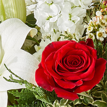 Twinkle Lights Bouquet –  Daily Bloom, San Antonio TX