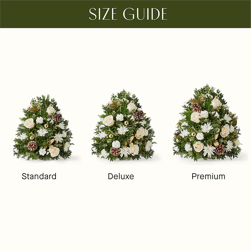 Snowed In Tree –  Daily Bloom, San Antonio TX
