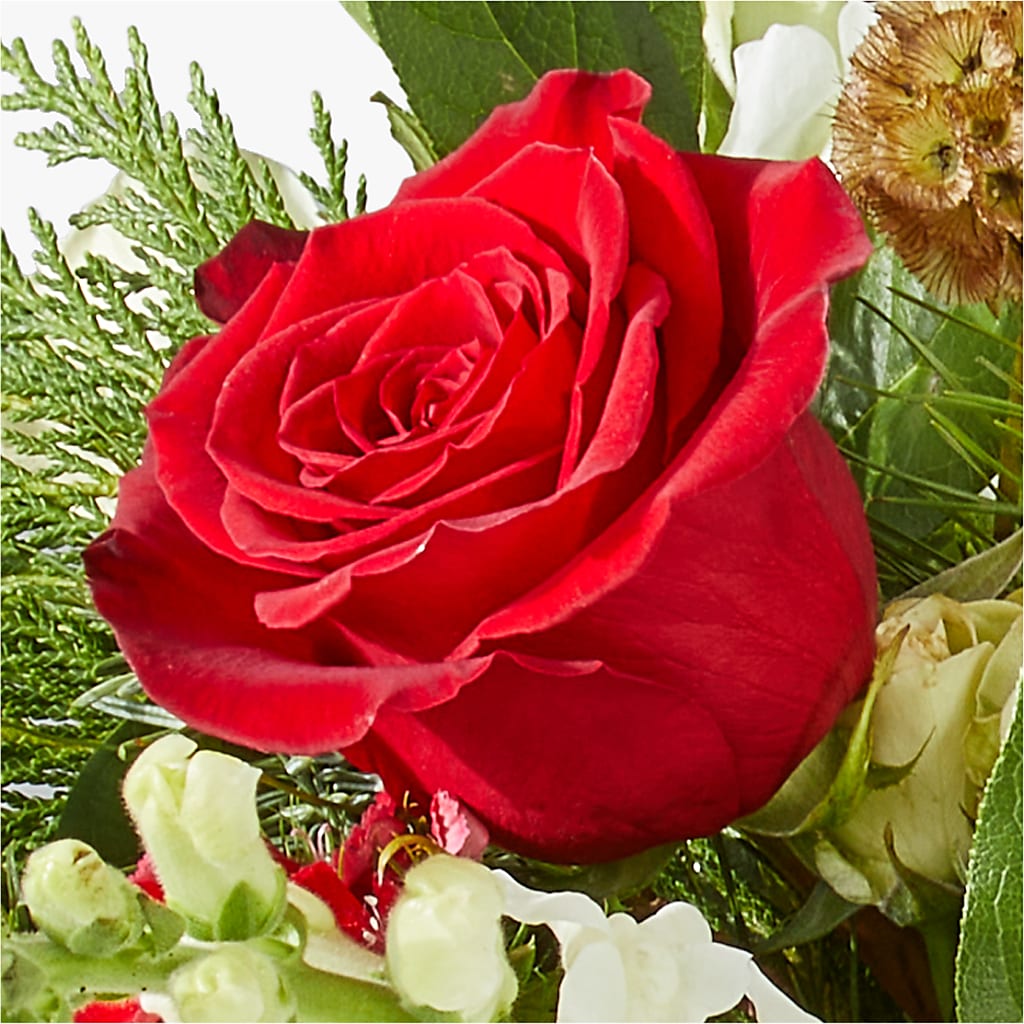 Deck the Halls Bouquet –  Daily Bloom, San Antonio TX