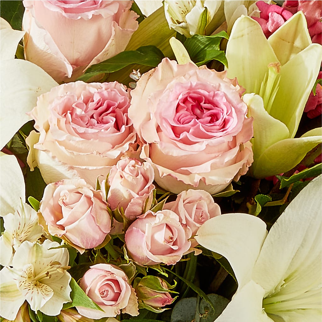 Ballet Slippers Bouquet –  Daily Bloom, San Antonio TX