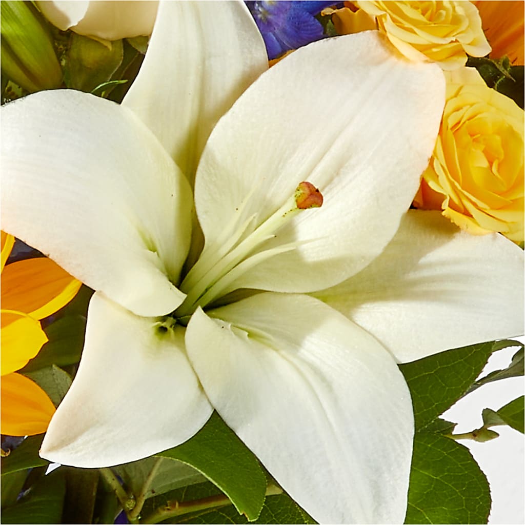 Wonderfully Sunny Bouquet –  Daily Bloom, San Antonio TX
