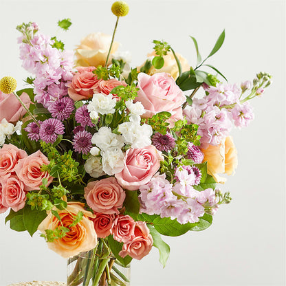 Perfect Contentment Bouquet –  Daily Bloom, San Antonio TX