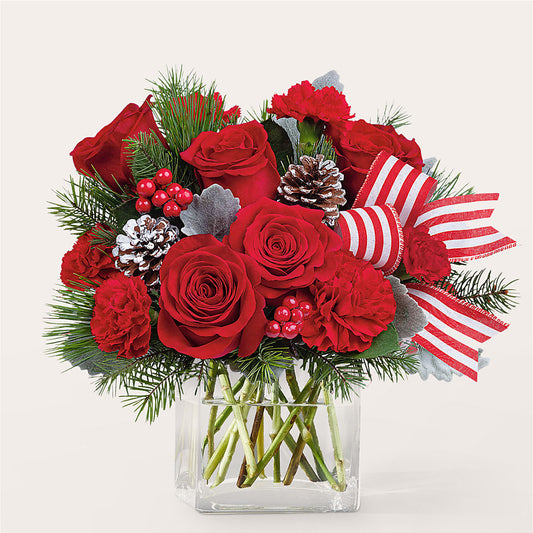 Baking Spirits Bright Bouquet –  Daily Bloom, San Antonio TX