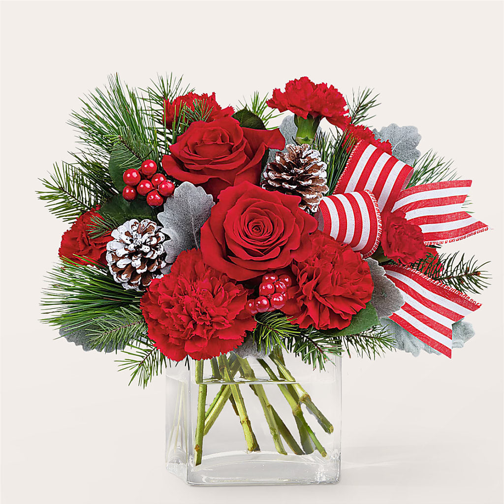 Baking Spirits Bright Bouquet –  Daily Bloom, San Antonio TX
