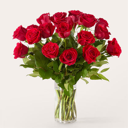 The One Red Rose Bouquet –  Daily Bloom, San Antonio TX