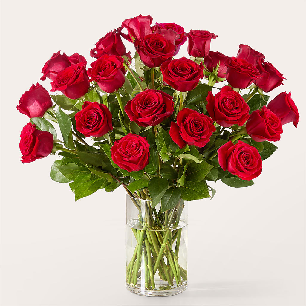 The One Red Rose Bouquet –  Daily Bloom, San Antonio TX
