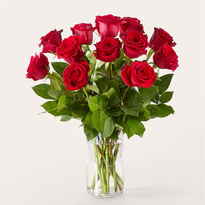 The One Red Rose Bouquet –  Daily Bloom, San Antonio TX