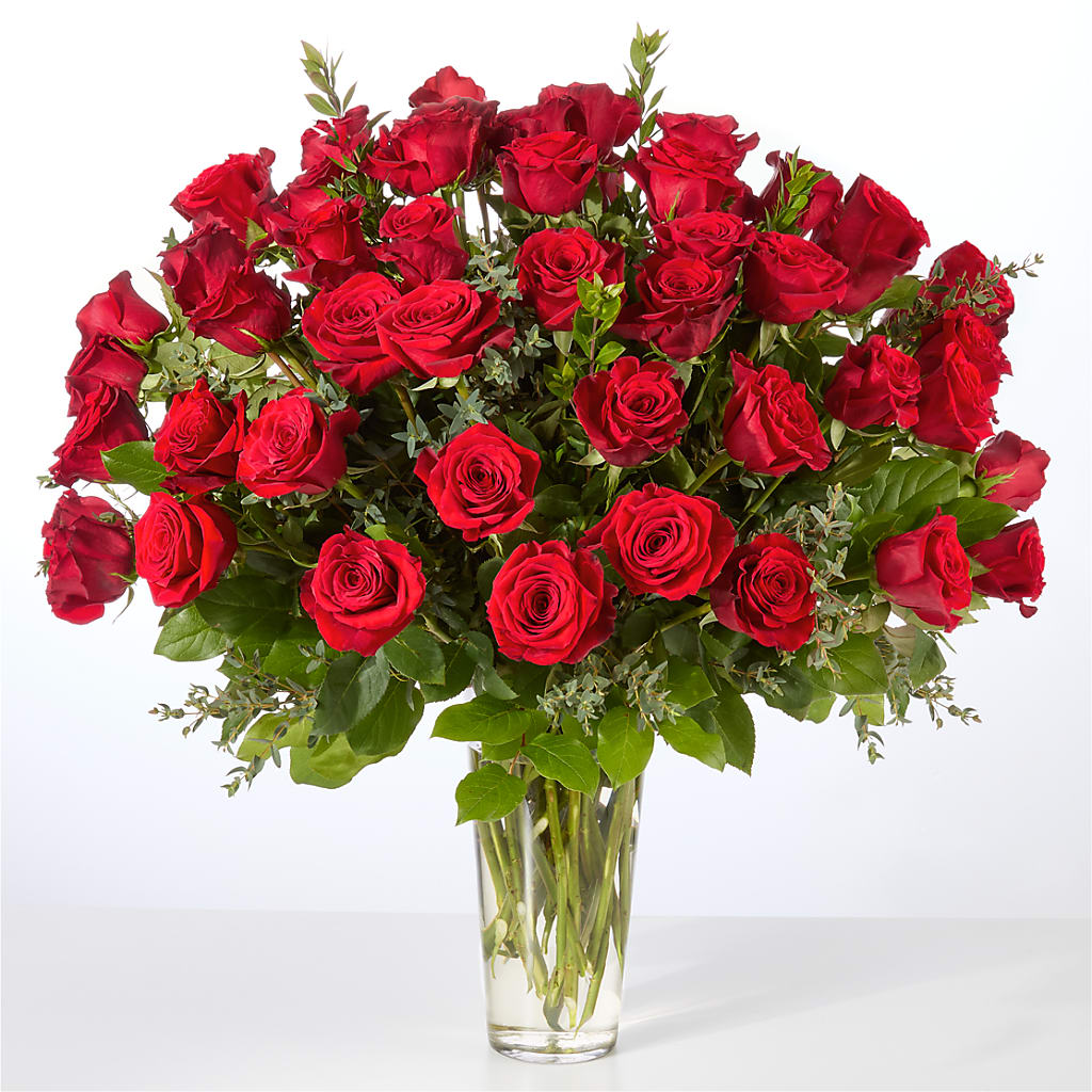 Forever Yours Fifty Stem Red Rose Bouquet –  Daily Bloom, San Antonio TX