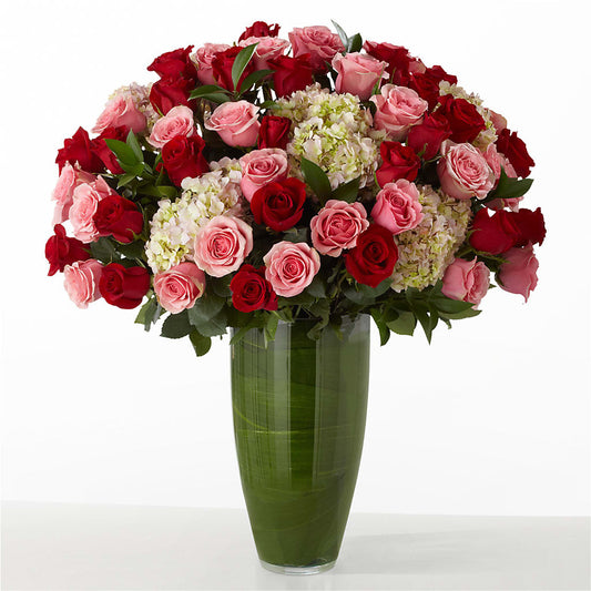 The Allure –  Daily Bloom, San Antonio TX