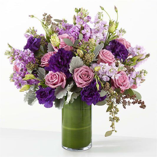 The Monarch –  Daily Bloom, San Antonio TX