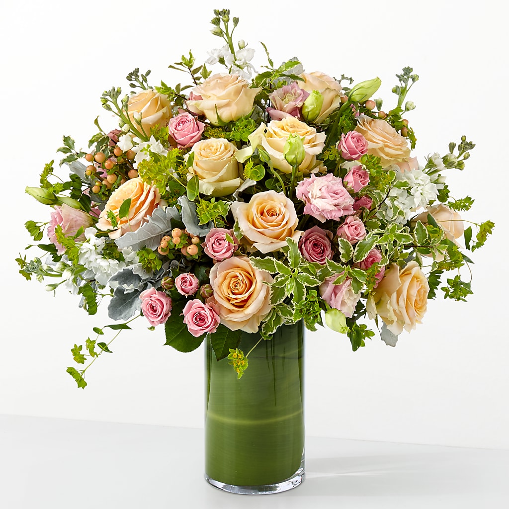 The Glamour Shot –  Daily Bloom, San Antonio TX