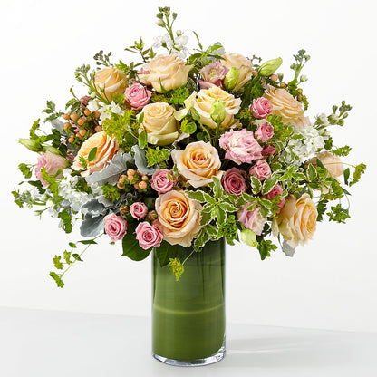 The Glamour Shot –  Daily Bloom, San Antonio TX