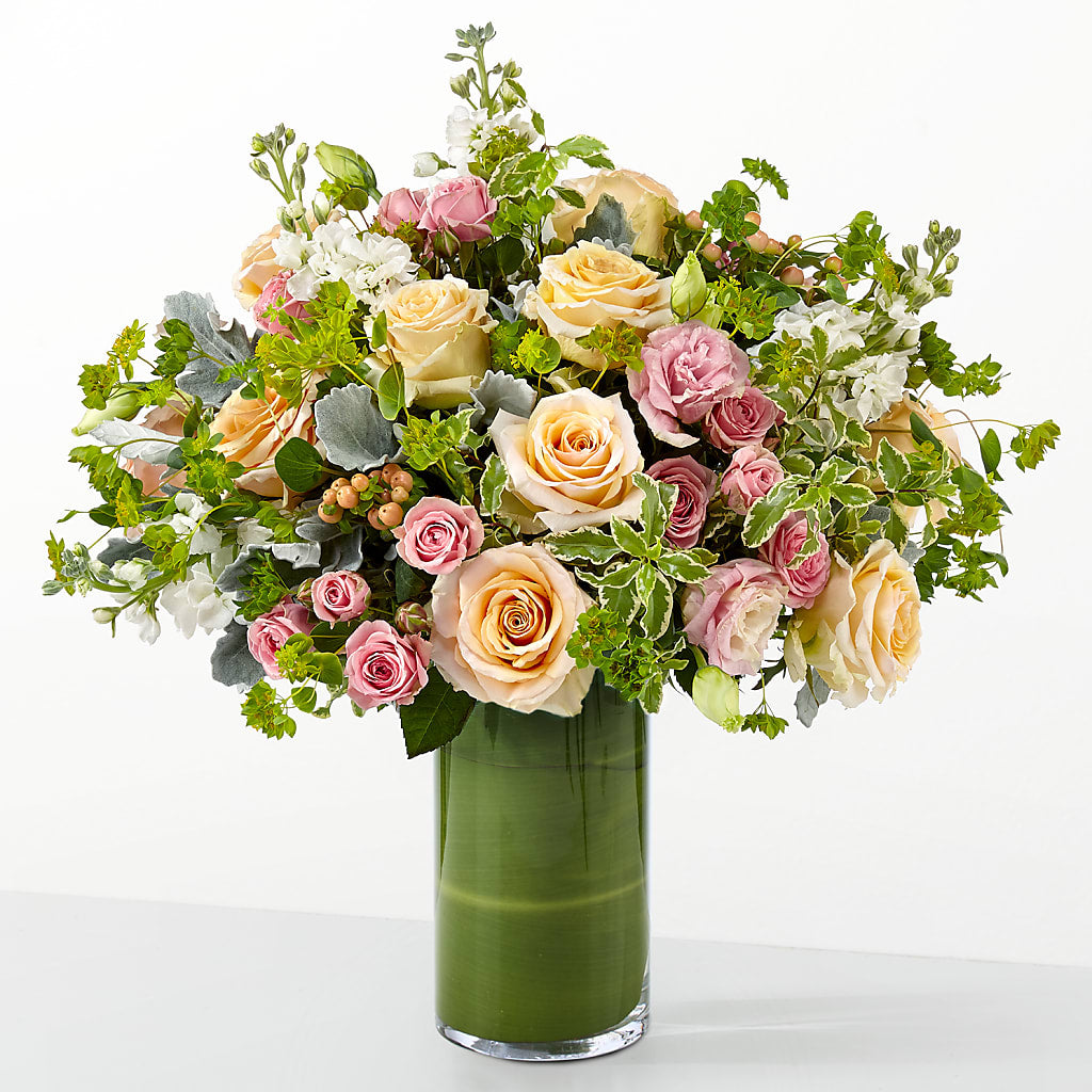 The Glamour Shot –  Daily Bloom, San Antonio TX
