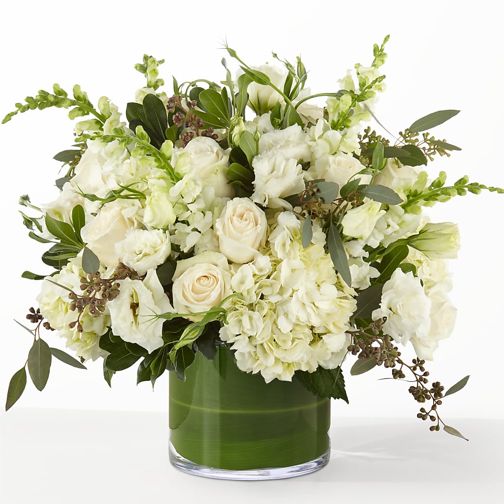 The Gallery –  Daily Bloom, San Antonio TX