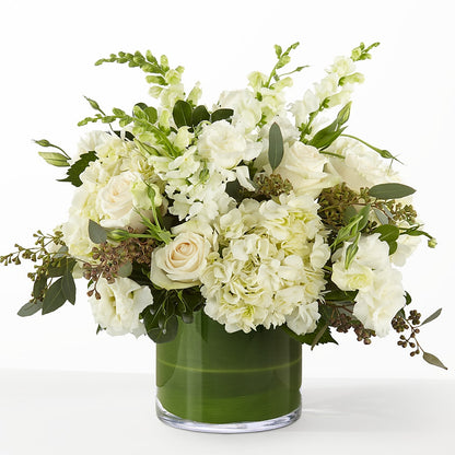 The Gallery –  Daily Bloom, San Antonio TX