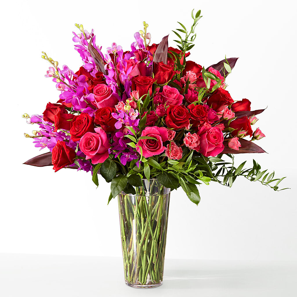 The Honeymoon –  Daily Bloom, San Antonio TX