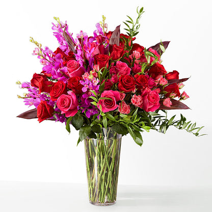 The Honeymoon –  Daily Bloom, San Antonio TX