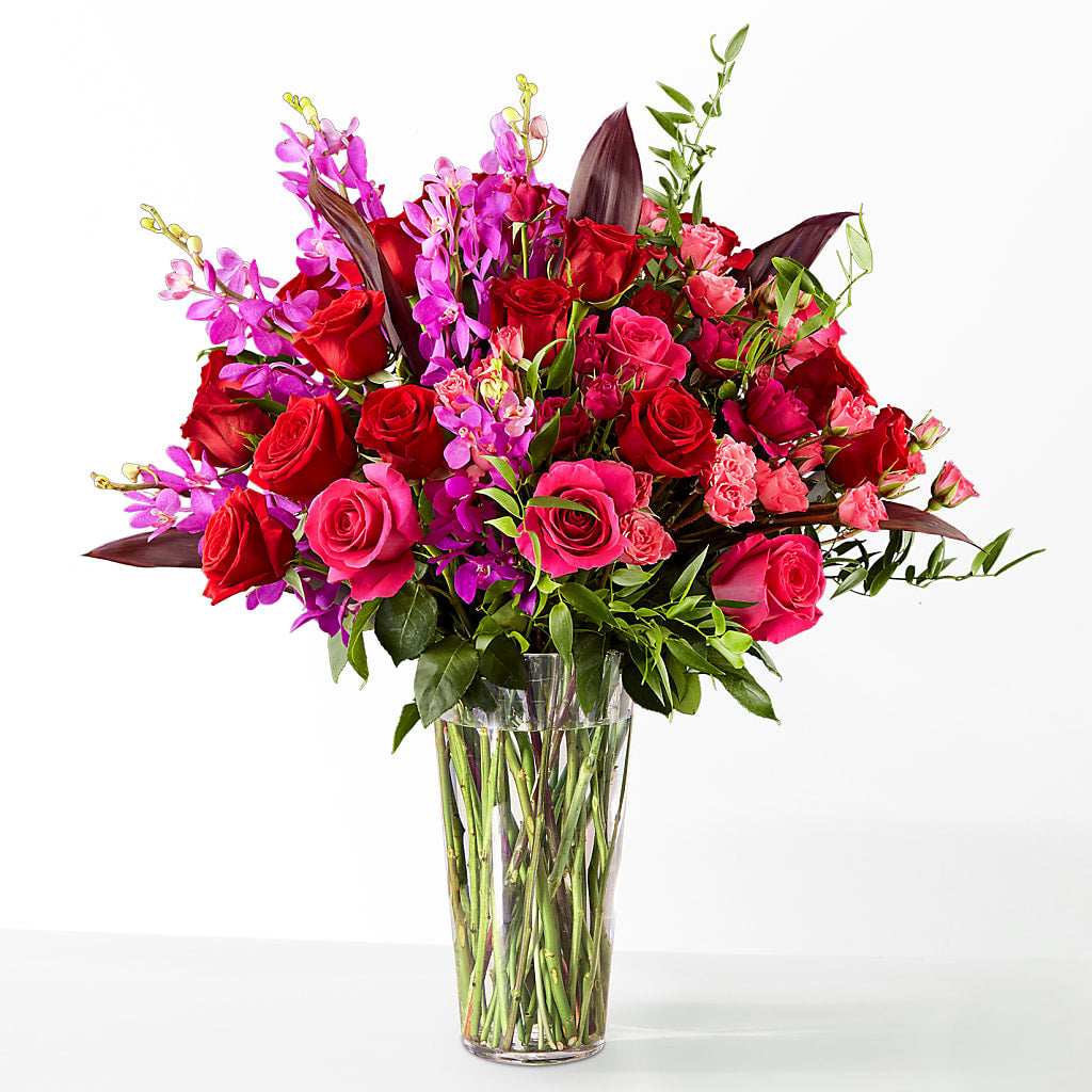 The Honeymoon –  Daily Bloom, San Antonio TX